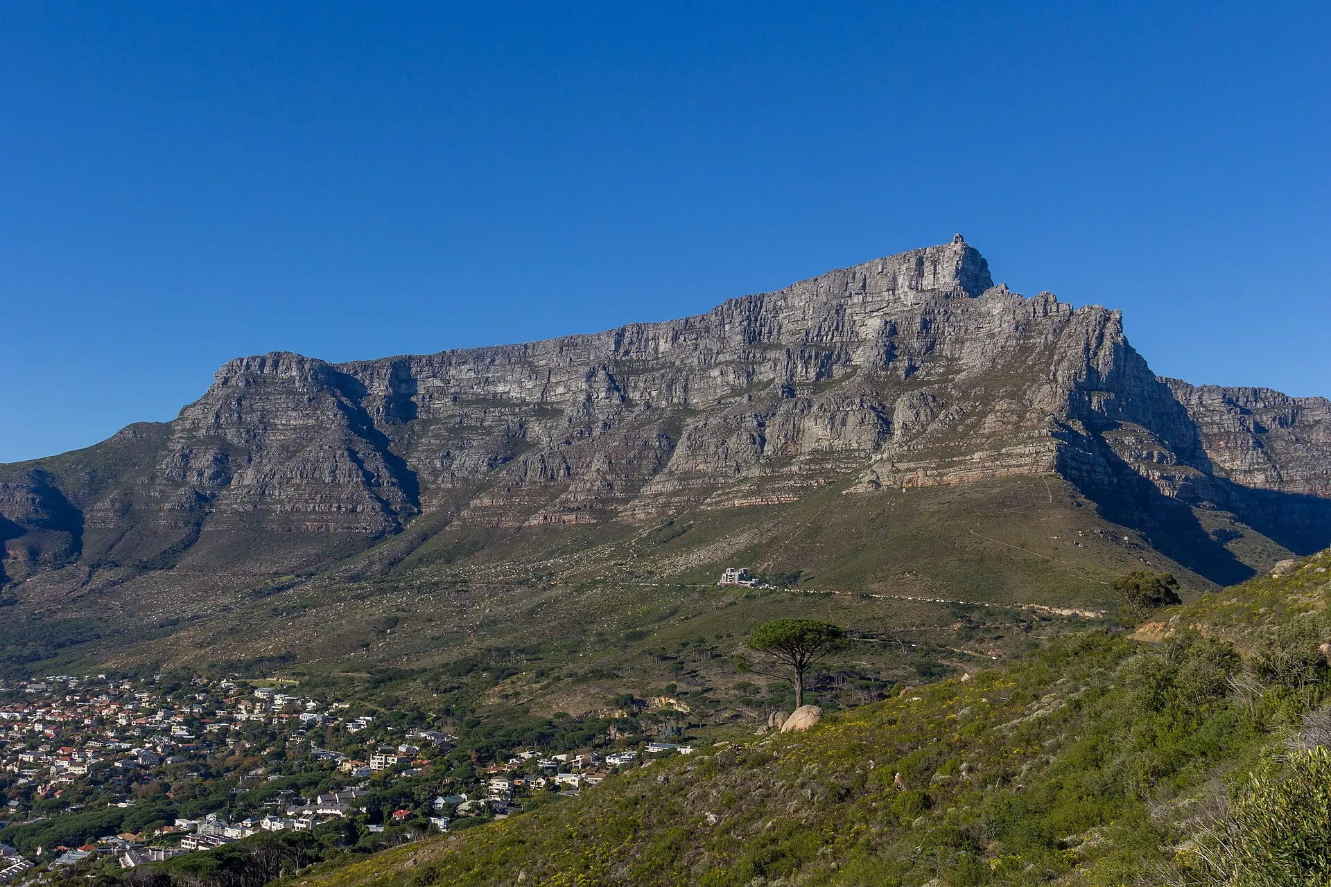 Table Mountain